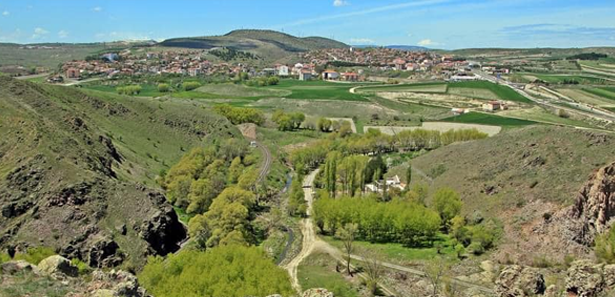 Köyler